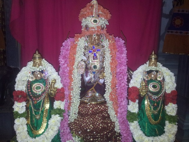 Taramani Prasanna Venkatesa Perumal Brahmotsavam day 10 2014 -1