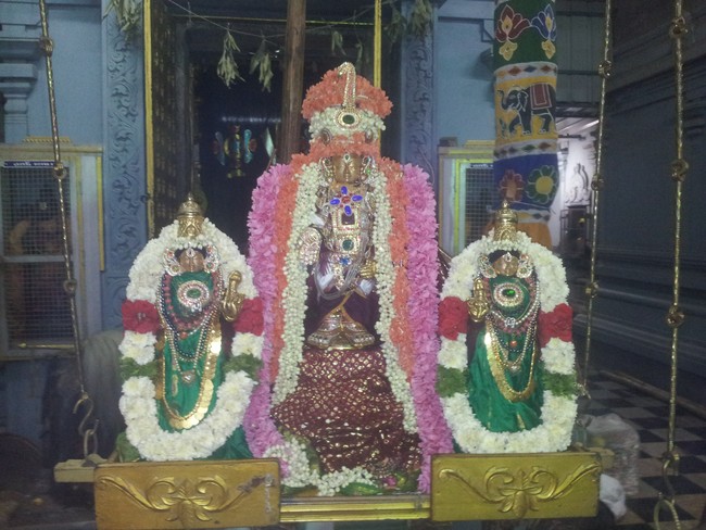 Taramani Prasanna Venkatesa Perumal Brahmotsavam day 10 2014 -4