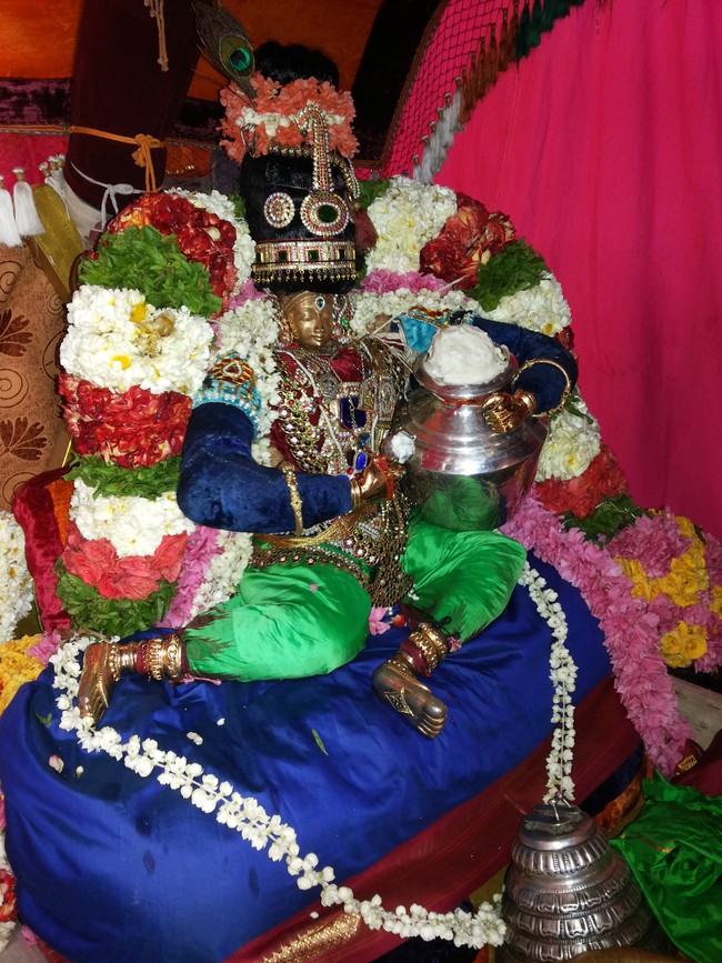 Taramani Prasanna Venkatesa Perumal Brahmotsavam day 8 2014 -2