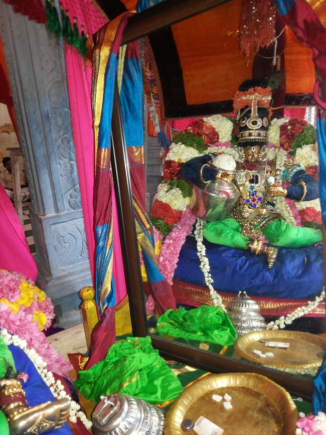 Taramani Prasanna Venkatesa Perumal Brahmotsavam day 8 2014 -3