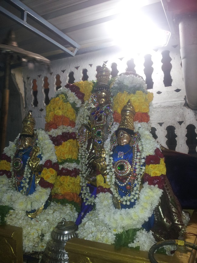 Taramani Prasanna Venkatesa Perumal Brahmotsavam day 9 Eve 2014 -01