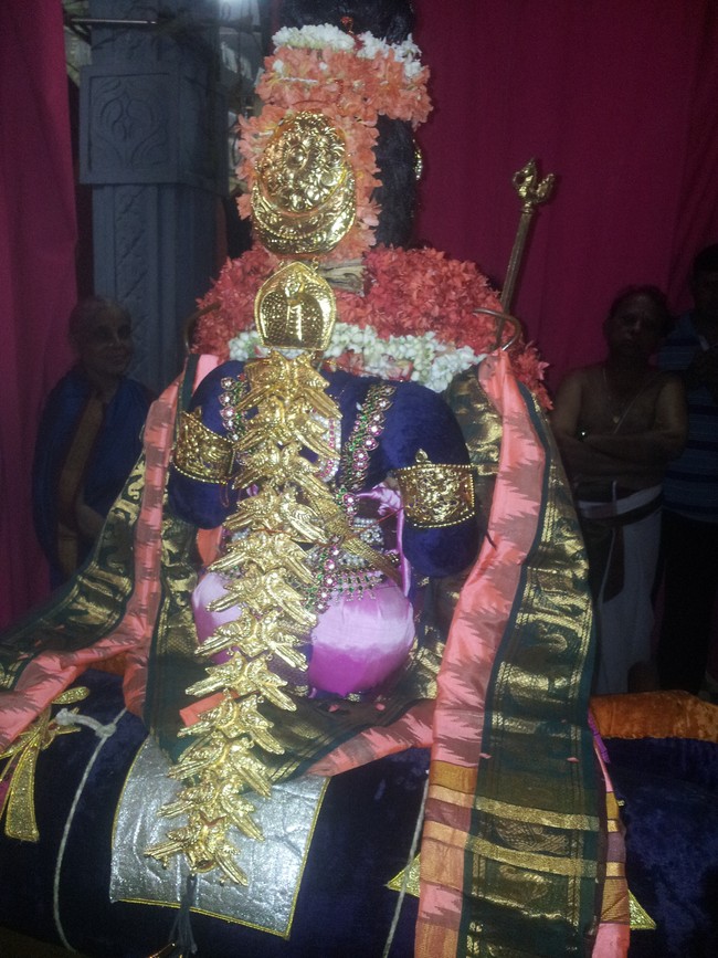 Taramani Sri Prasanna Venkatesa Perumal Brahmotsavam day 5 eve  2014 -4