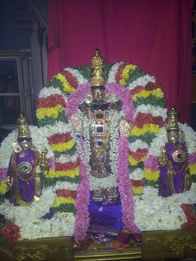 Taramani Sri Prasanna Venkatesa Perumal Brahmotsavam day 6  2014 -1