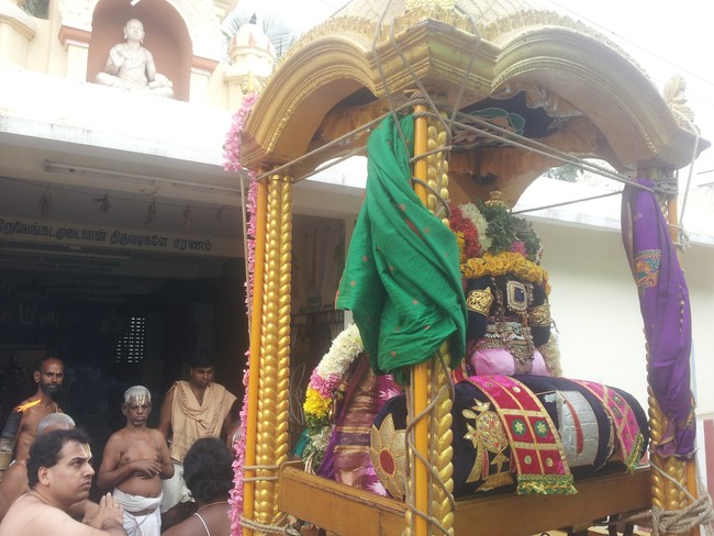 Taramani Sri Prasanna Venkatesa Perumal Brahmotsavam day 6  2014 -4