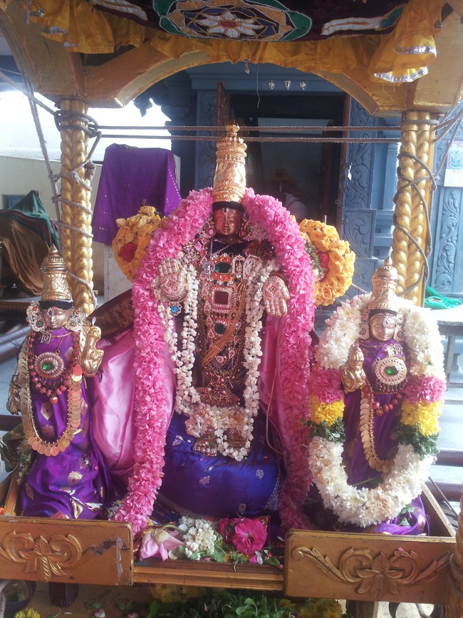 Taramani Sri Prasanna Venkatesa Perumal Brahmotsavam day 6  2014 -5