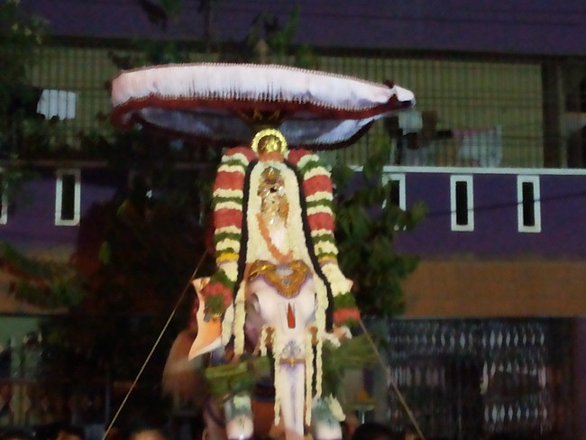 Taramani Sri Prasanna Venkatesa Perumal Brahmotsavam day 6  2014 -8