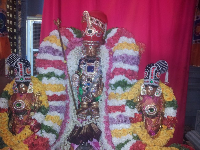 Taramani Sri Prasanna Venkatesa Perumal Brahmotsavam day 7  2014 -01
