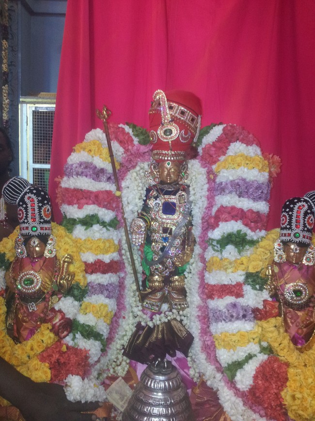 Taramani Sri Prasanna Venkatesa Perumal Brahmotsavam day 7  2014 -02