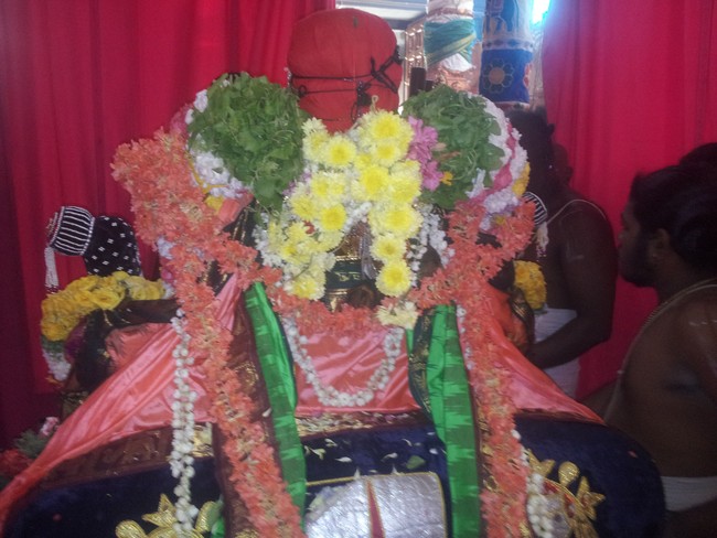 Taramani Sri Prasanna Venkatesa Perumal Brahmotsavam day 7  2014 -03