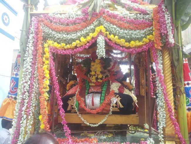 Taramani Sri Prasanna Venkatesa Perumal Brahmotsavam day 7  2014 -11