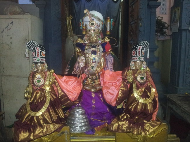 Taramani Sri Prasanna Venkatesa Perumal Brahmotsavam day 7 eve  2014 -5