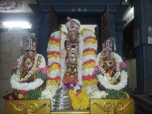 Taramani Sri Prasanna Venkatesa Perumal Brahmotsavam day 7 eve  2014 -6