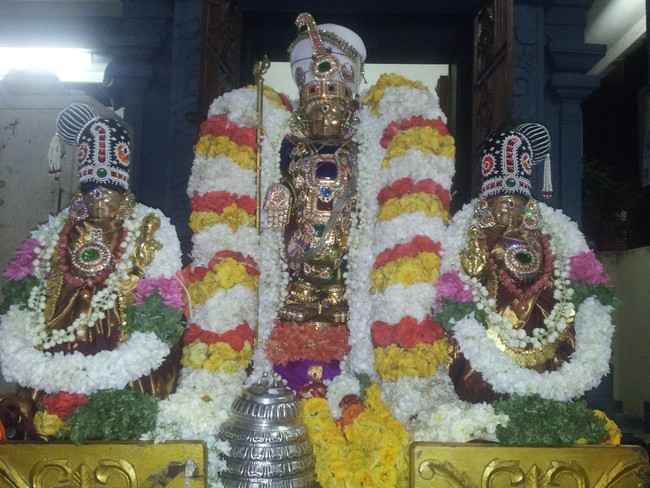 Taramani Sri Prasanna Venkatesa Perumal Brahmotsavam day 7 eve  2014 -7