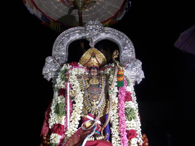 Therazhundur Kulasekara Azhwar Thirunakshatra Utsavam 2014 -25