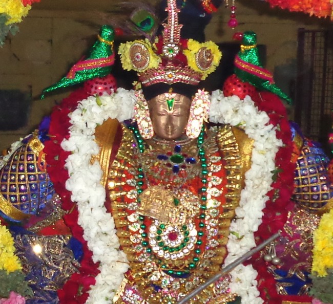 Thirunangur Sri van Purushothaaman Brahmotsavam day 1 & 2 2014--05