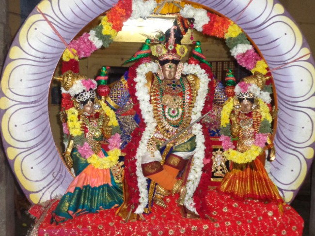 Thirunangur Sri van Purushothaaman Brahmotsavam day 1 & 2 2014--07