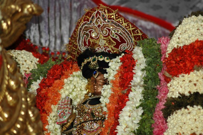 Thiruneermalai Brahmotsavam Aswa Vahanam  2014 -01
