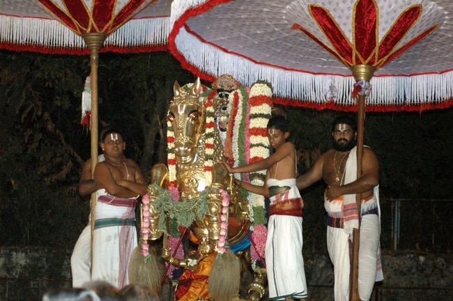 Thiruneermalai Brahmotsavam Aswa Vahanam  2014 -08