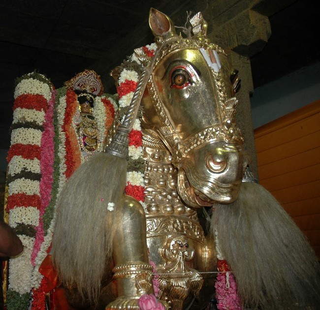 Thiruneermalai Brahmotsavam Aswa Vahanam  2014 -18