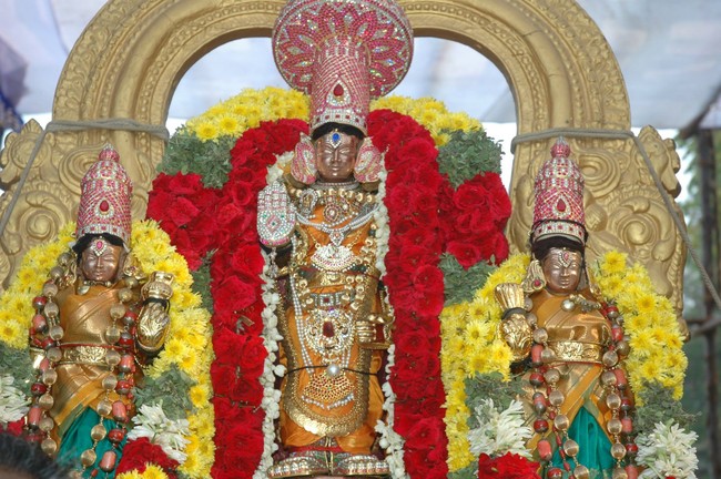 Thiruneermalai Brahmotsavam Commences  2014 -08