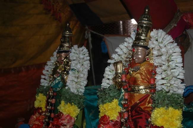 Thiruneermalai Brahmotsavam day 3 Pallaku 2014 -1