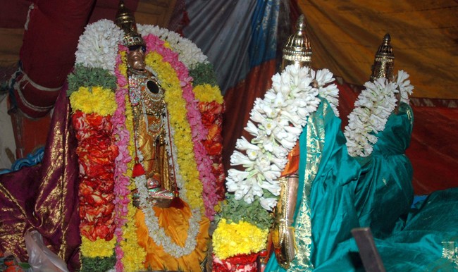 Thiruneermalai Brahmotsavam day 3 Pallaku 2014 -3