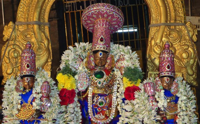 Thiruneermalai Neervanna perumal Brahmotsavam Sesha Vahanam 2014--13