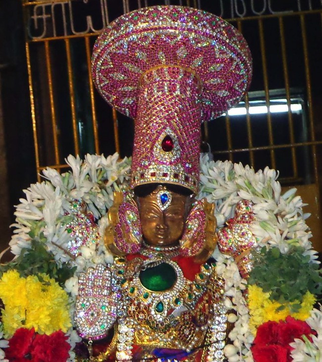Thiruneermalai Neervanna perumal Brahmotsavam Sesha Vahanam 2014--15
