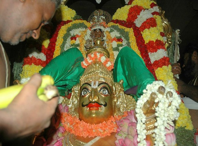 Thiruneermalai brahmothsavam Garuda vahanam7