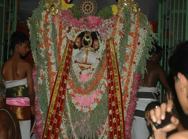Thiruneermalai brahmothsavam Garuda vahanam9