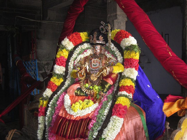 Thirunindravur Brahmotsavam Nachiyar thirukolam  2014--04