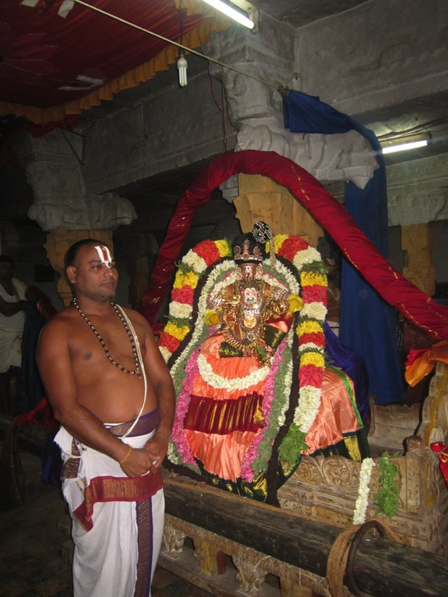 Thirunindravur Brahmotsavam Nachiyar thirukolam  2014--11