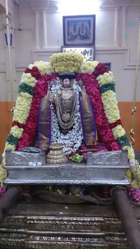 Thiruvahindrapuram Thirukachi Nambi Avathara Utsavam 2014 -1