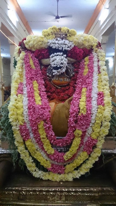 Thiruvahindrapuram Thirukachi Nambi Avathara Utsavam 2014 -4