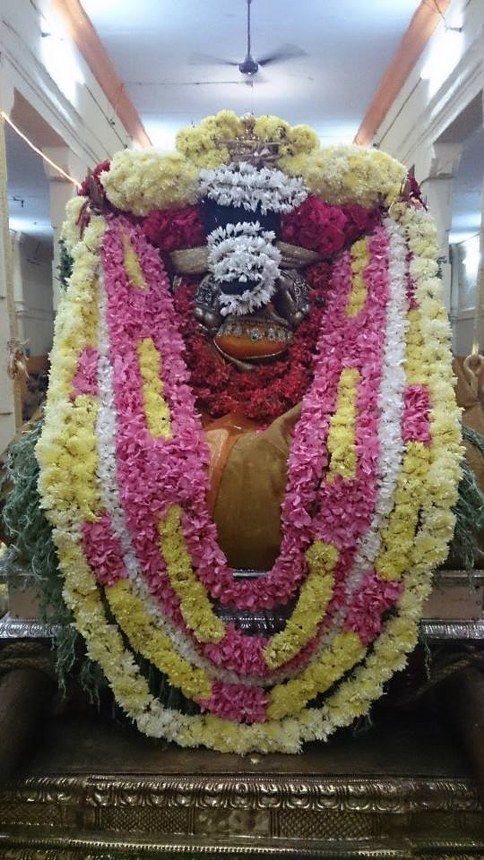 Thiruvahindrapuram Thirukachi Nambi Avathara Utsavam 2014 -5