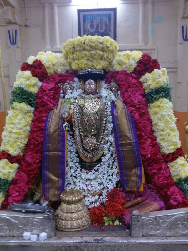 Thiruvahindrapuram Thirukachi Nambi Avathara Utsavam 2014 -6