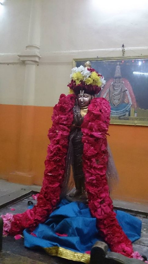 Thiruvahindrapuram Thirukachi Nambi Avathara Utsavam 2014 -7