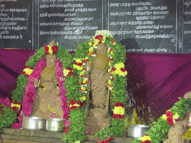 Thiruvahnindrapuram Devanatha Perumal first Panguni uthram  2014 -08