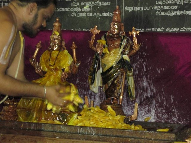 Thiruvahnindrapuram Devanatha Perumal first Panguni uthram  2014 -12