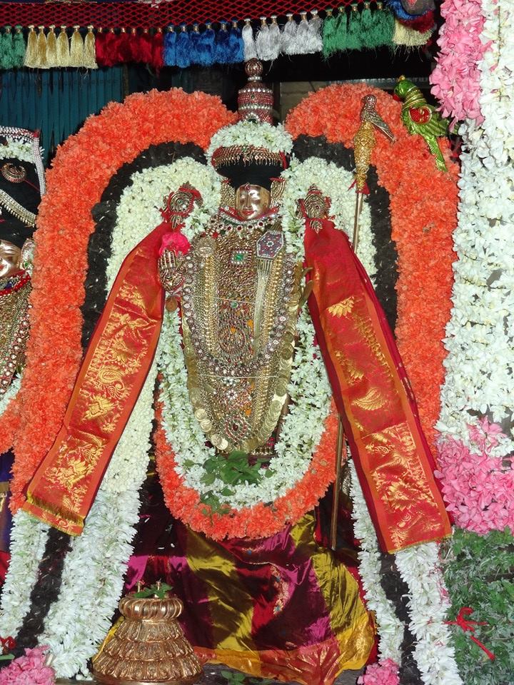 Thiruvahnindrapuram Devanatha Perumal first Panguni uthram  2014 -25