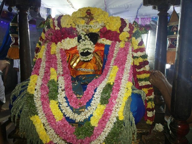 Thiruvahnindrapuram Devanatha Perumal first Panguni uthram  2014 -32