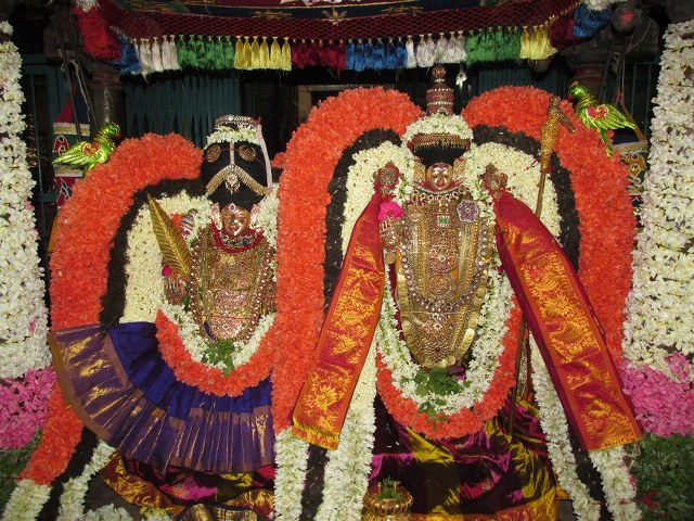Thiruvahnindrapuram Devanatha Perumal first Panguni uthram  2014 -35