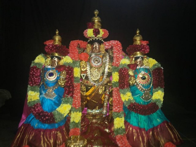 Thiruvahnindrapuram Devanatha Perumal first Panguni uthram  2014 -40