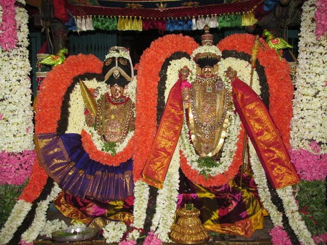 Thiruvahnindrapuram Devanatha Perumal first Panguni uthram  2014 -42