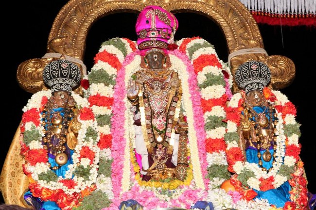 Thiruvallikeni Dhavana Utsavam day 5 2014 -5