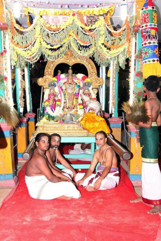 Thiruvallikeni Masi Theppotsavam day 7  2014--09