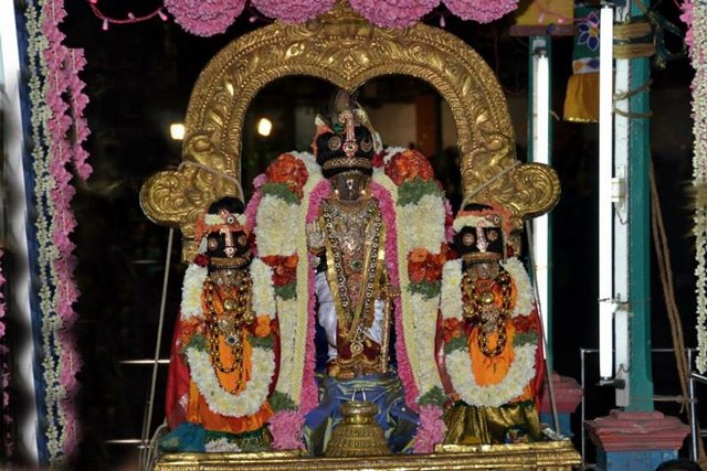 Thiruvallikeni Parthasarathy temple Theppotsavam day 2 2014 -12_640x427