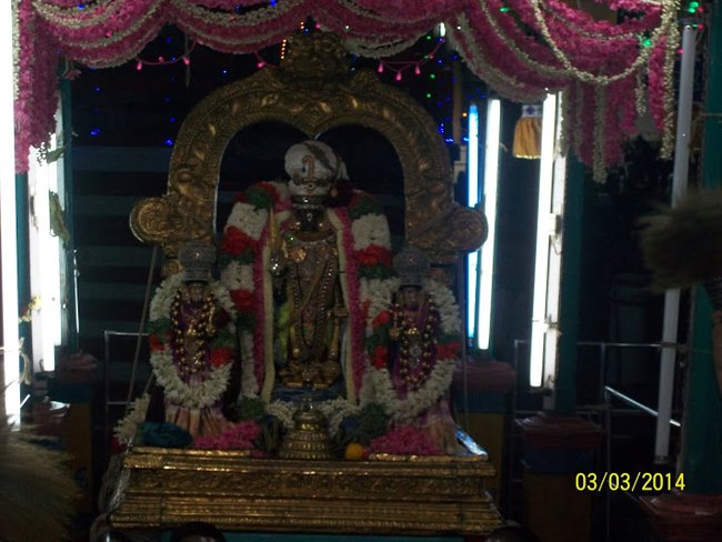 Thiruvallikeni Sri Parthasarathy Perumal Thirukoil Theppotsavam Day 3  03-03-2014 05