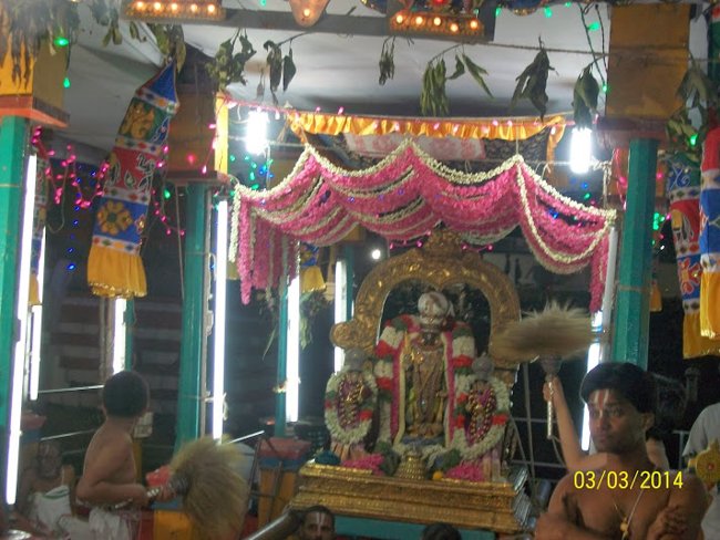 Thiruvallikeni Sri Parthasarathy Perumal Thirukoil Theppotsavam Day 3  03-03-2014 07