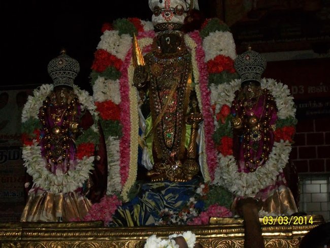Thiruvallikeni Sri Parthasarathy Perumal Thirukoil Theppotsavam Day 3  03-03-2014 11